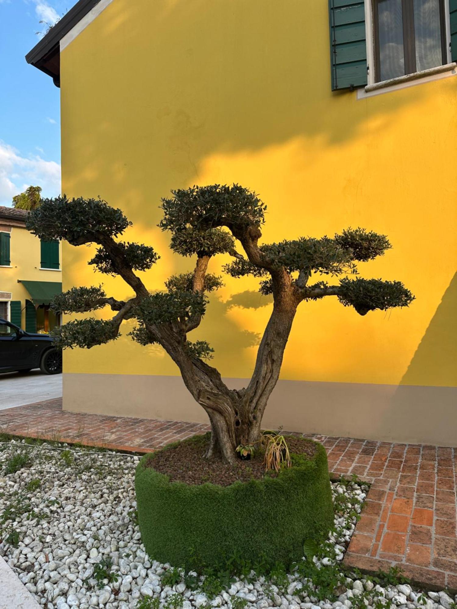 Agriturismo Corte Capiluppia Curtatone Экстерьер фото