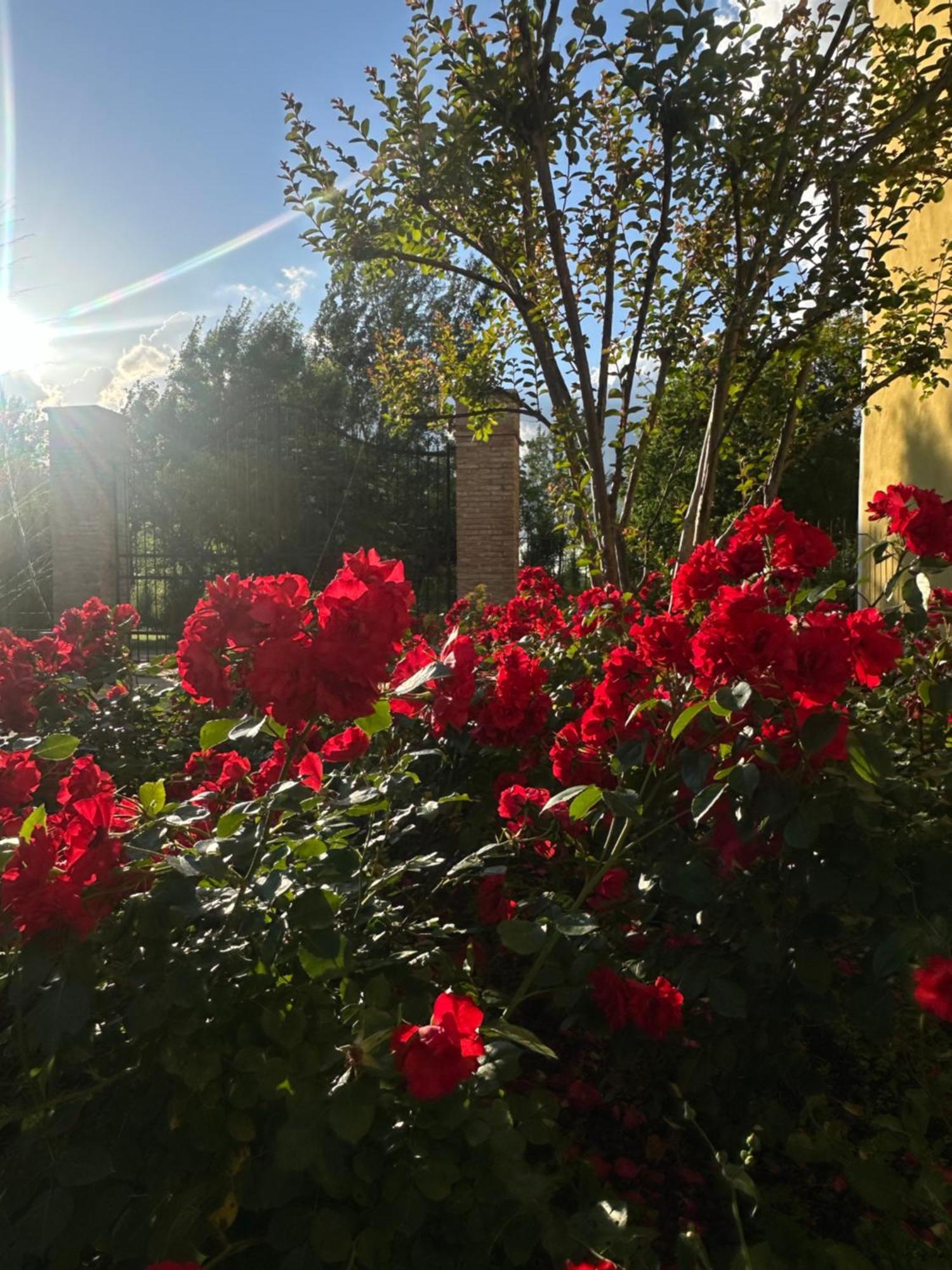 Agriturismo Corte Capiluppia Curtatone Экстерьер фото