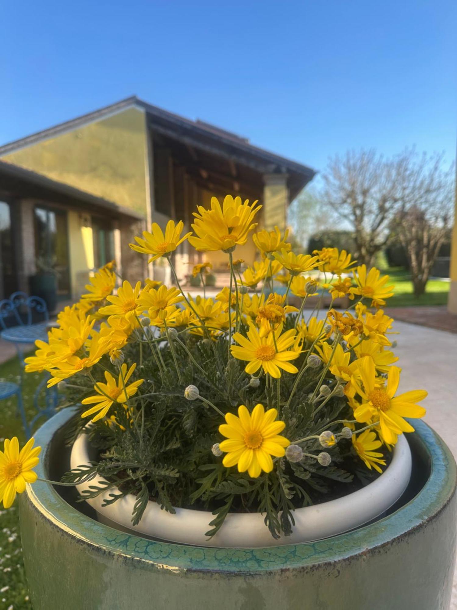 Agriturismo Corte Capiluppia Curtatone Экстерьер фото