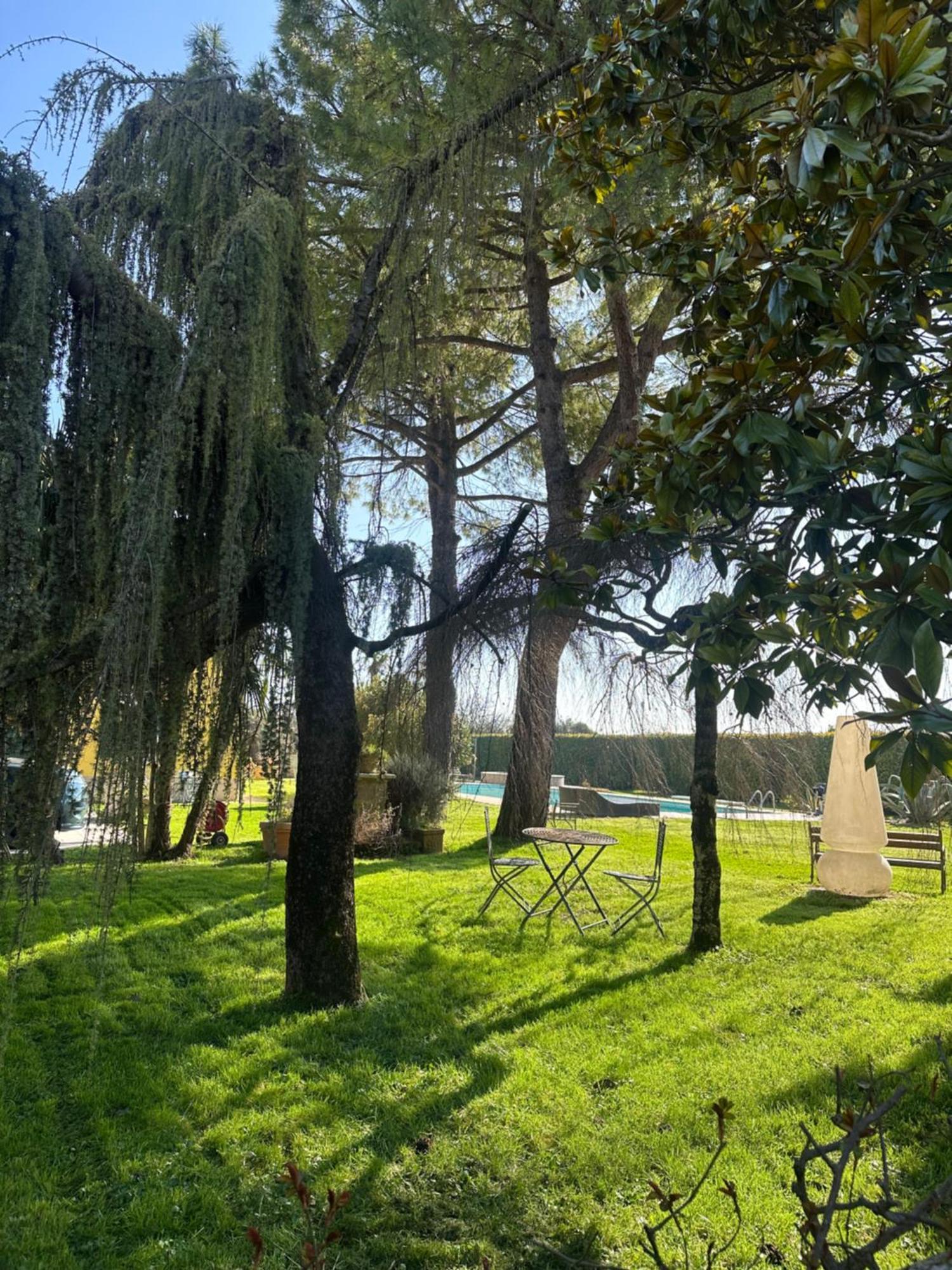 Agriturismo Corte Capiluppia Curtatone Экстерьер фото